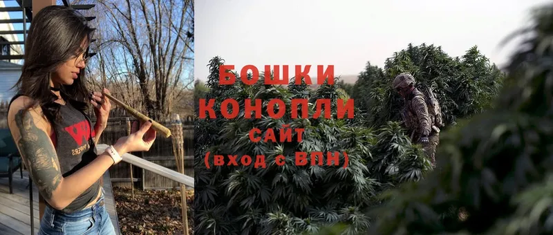 Канабис SATIVA & INDICA  сколько стоит  площадка формула  Бронницы 